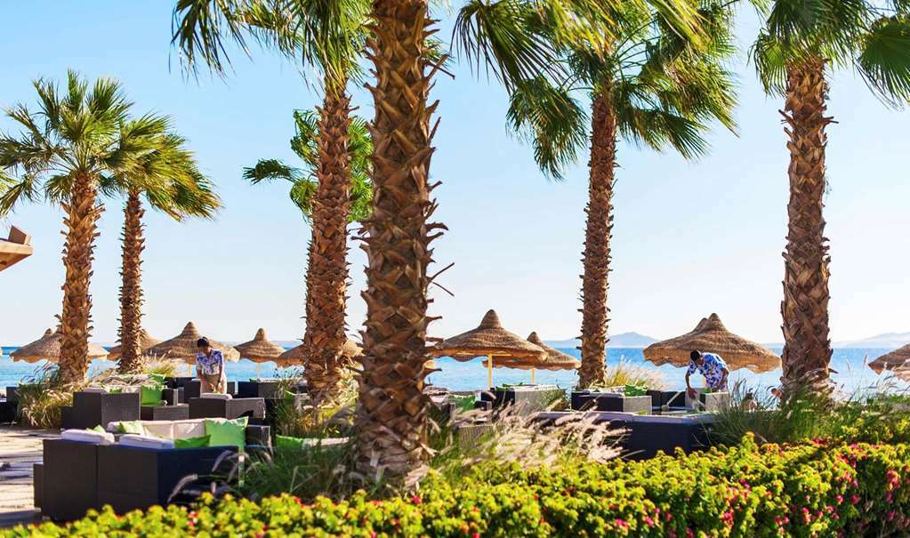 Baron Resort Sharm El Sheikh (Adults Only) Natură foto